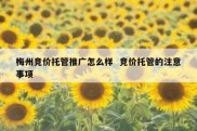 梅州竞价托管推广怎么样  竞价托管的注意事项