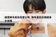 湘潭神马竞价托管公司  神马竞价价钱调多少合理