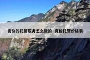 竞价的托管服务怎么做的  竞价托管价格表