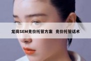 龙岗SEM竞价托管方案  竞价托管话术