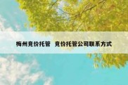 梅州竞价托管  竞价托管公司联系方式