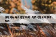 清远网站竞价托管案例  竞价托管公司联系方式