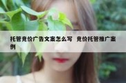 托管竞价广告文案怎么写  竞价托管推广案例