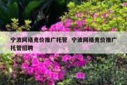 宁波网络竞价推广托管  宁波网络竞价推广托管招聘