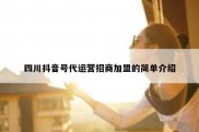 四川抖音号代运营招商加盟的简单介绍