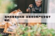 亳州百度竞价托管  百度竞价账户托管是干嘛的