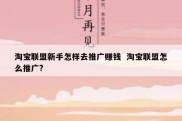 淘宝联盟新手怎样去推广赚钱  淘宝联盟怎么推广?