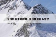 竞价托管未来前景  竞价托管什么意思