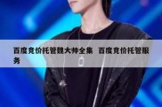 百度竞价托管魏大帅全集  百度竞价托管服务