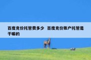 百度竞价托管费多少  百度竞价账户托管是干嘛的