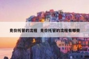 竞价托管的流程  竞价托管的流程有哪些
