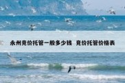 永州竞价托管一般多少钱  竞价托管价格表