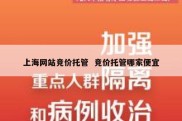 上海网站竞价托管  竞价托管哪家便宜