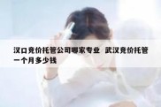 汉口竞价托管公司哪家专业  武汉竞价托管一个月多少钱