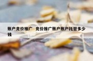 账户竞价推广  竞价推广账户账户托管多少钱