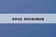 合作引流  合作引流方案内容