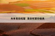 大丰竞价托管  竞价托管价格表
