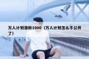 万人计划涨粉1000（万人计划怎么不公开了）