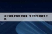 河北网络竞价托管效果  竞价托管服务多少钱