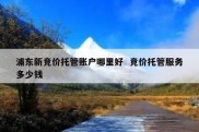 浦东新竞价托管账户哪里好  竞价托管服务多少钱