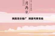 陕西竞价推广  陕西号牌竞拍