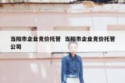 当阳市企业竞价托管  当阳市企业竞价托管公司