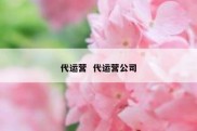代运营  代运营公司