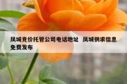 凤城竞价托管公司电话地址  凤城供求信息免费发布