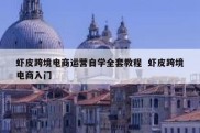 虾皮跨境电商运营自学全套教程  虾皮跨境电商入门