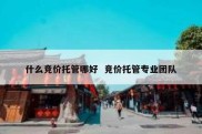 什么竞价托管哪好  竞价托管专业团队