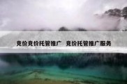 竞价竞价托管推广  竞价托管推广服务