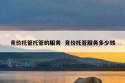 竞价托管托管的服务  竞价托管服务多少钱