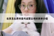 北京怎么弄抖音代运营公司的简单介绍