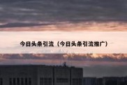 今日头条引流（今日头条引流推广）