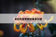 竞价托管营销的简单介绍