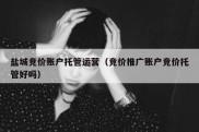 盐城竞价账户托管运营（竞价推广账户竞价托管好吗）