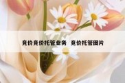 竞价竞价托管业务  竞价托管图片