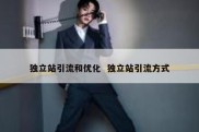 独立站引流和优化  独立站引流方式