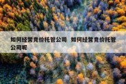 如何经营竞价托管公司  如何经营竞价托管公司呢