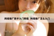 网络推广新手入门教程  网络推广怎么入门