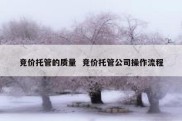 竞价托管的质量  竞价托管公司操作流程