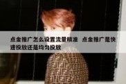 点金推广怎么设置流量精准  点金推广是快速投放还是均匀投放