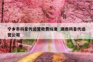宁乡市抖音代运营收费标准  湖南抖音代运营公司