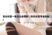 竞价托管一般怎么收费的（竞价托管专业团队）