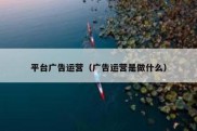 平台广告运营（广告运营是做什么）