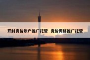 开封竞价账户推广托管  竞价网络推广托管
