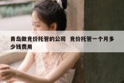 青岛做竞价托管的公司  竞价托管一个月多少钱费用