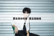 章丘竞价托管  章丘招拍挂