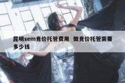 昆明sem竞价托管费用  做竞价托管需要多少钱
