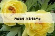 淘宝地推  淘宝地推平台